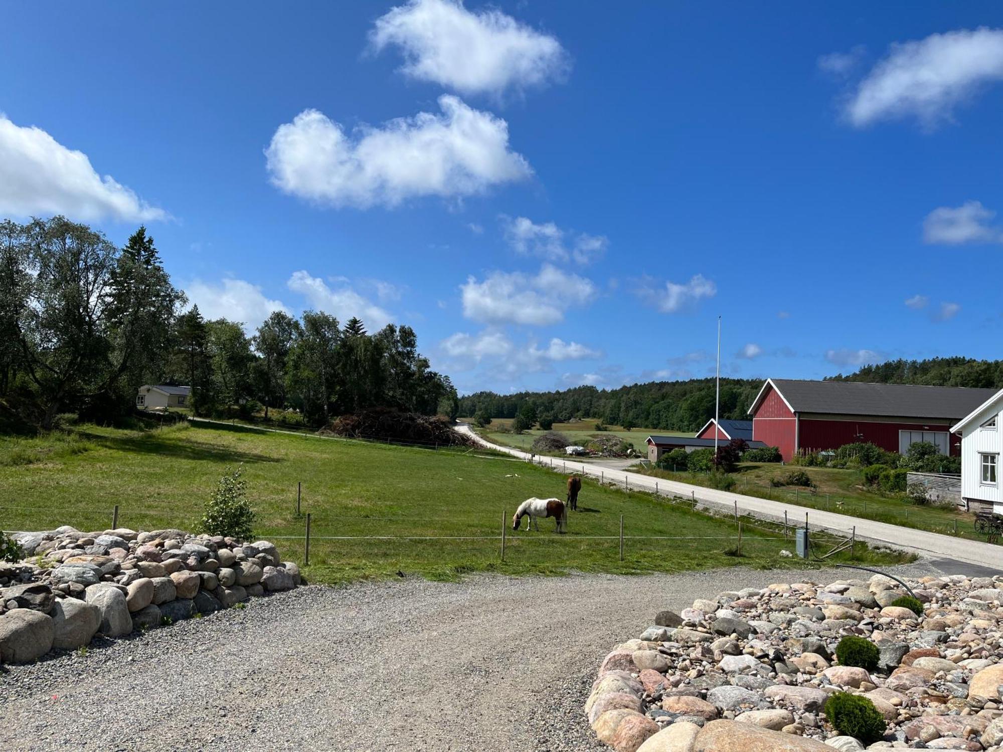 Villa Fjaellbacka Premium Living - Wonderful Location Exterior foto